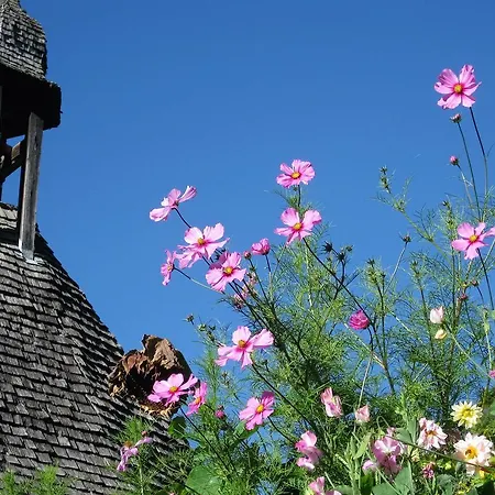 Apart Zoey Apartmán Kappl (Landeck)