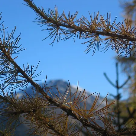 Apartmán Apart Zoey *